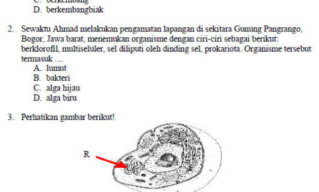 kumpulan soal toeic dan pembahasannya