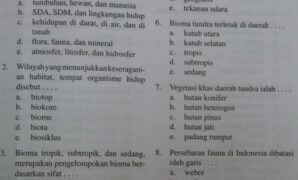 Soal Latihan Geografi SMA kelas XI