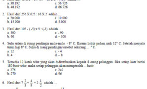 Soal Tryout UASBN Matematika SD 2010