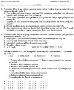 Soal Seleksi Propinsi International Biology Olympiad Ibo 2009 Soalujian Net