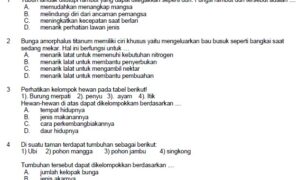 Soal Latihan Ujian Nasional SD MI IPA